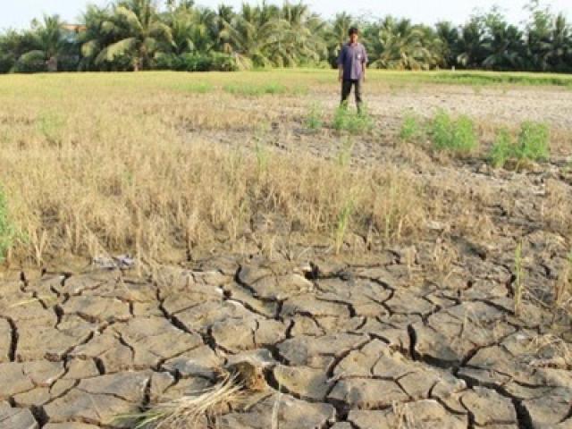 Tin tức trong ngày - Việt Nam có nên làm mưa nhân tạo cứu hạn ở Miền Tây Nam Bộ?