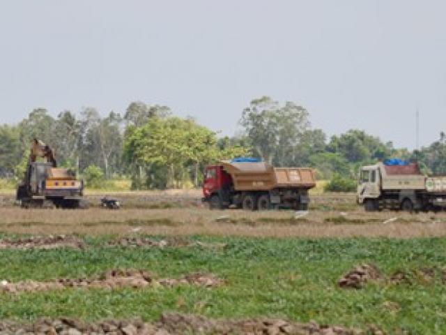 Tài chính - Bất động sản - Nông dân "vô tư" bán hàng ngàn héc ta đất mặt