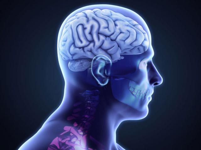 Sức khỏe đời sống - Những sự thật thú vị về cơ thể mà bạn không biết