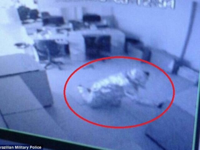 Thế giới - Brazil: Hai tên trộm "tàng hình" trước hệ thống báo động