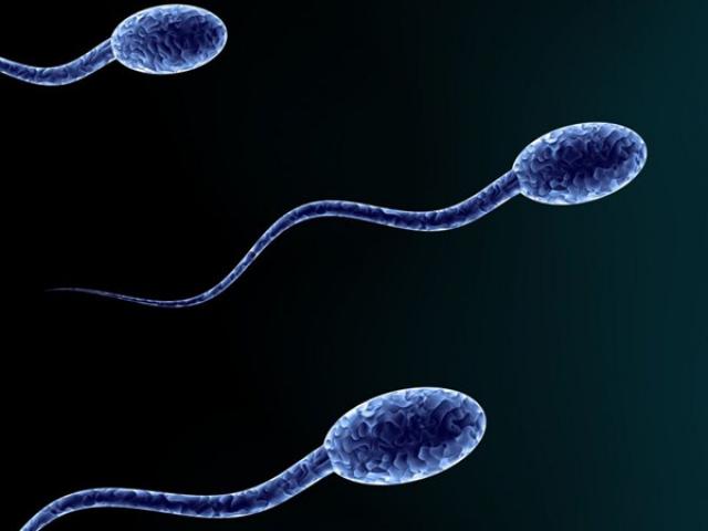 Thế giới - Vô sinh tăng vọt, ngân hàng tinh trùng TQ "cháy hàng"