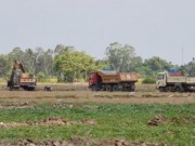 Tài chính - Bất động sản - Nông dân &quot;vô tư&quot; bán hàng ngàn héc ta đất mặt