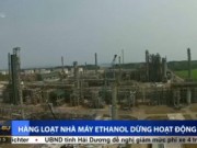 Thị trường - Tiêu dùng - Hàng loạt nhà máy Ethanol dừng hoạt động do nợ đọng, phá sản