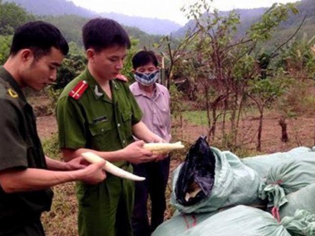 Sức khỏe đời sống - 21.972kg măng "ngâm" diêm sinh