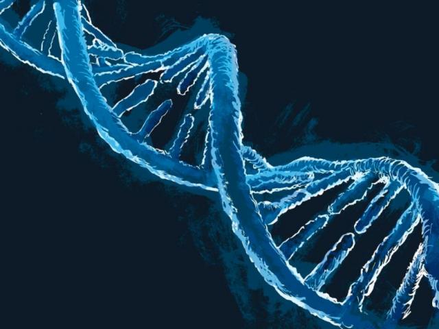 Truy tìm 13 người giấu mặt có ADN “siêu nhân”