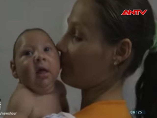 Video An ninh - Virus Zika có thể tấn công cả não người trưởng thành