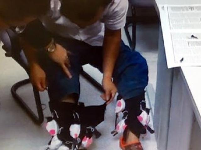 Tin tức trong ngày - Giấu 18 con chim quý trong ống quần