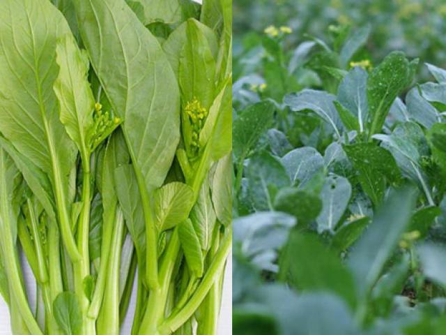 Thị trường - Tiêu dùng - Mẹo nhận biết để tránh mua rau "tắm" nhiều hóa chất