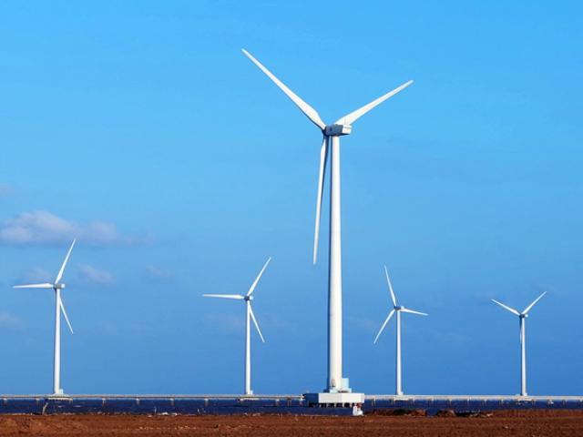 Du lịch - Ngắm dàn chong chóng khổng lồ quay bên biển Bạc Liêu