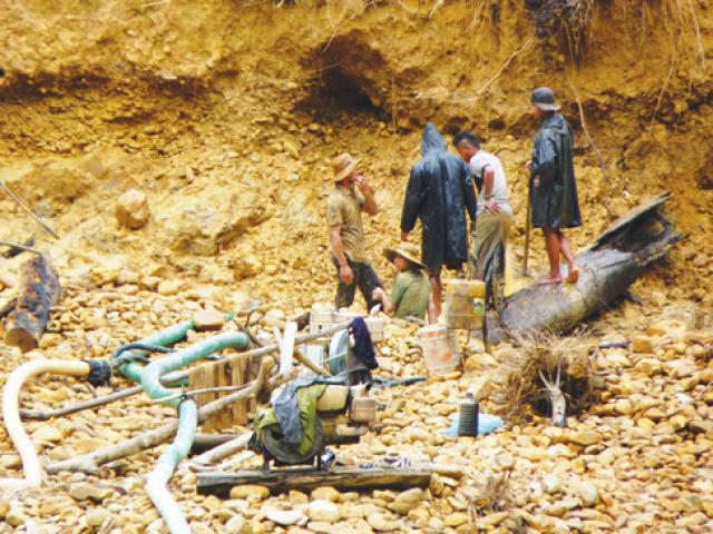 Pháp luật - Đại ca vàng thổ phỉ rơi vào vòng tay của "nàng tiên nâu"