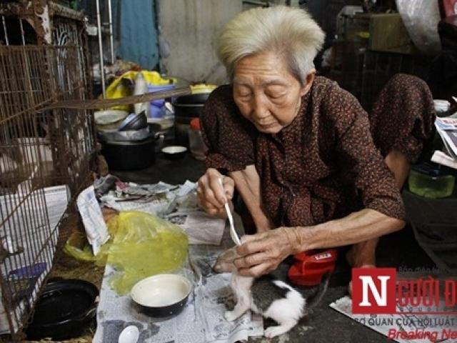 Bạn trẻ - Cuộc sống - Cụ bà "sức cùng lực kiệt" chăm bầy chó mèo hoang