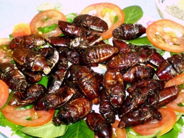 Tin tức trong ngày - 3 người bị ngộ độc do ăn bọ rầy rang, 1 người tử vong