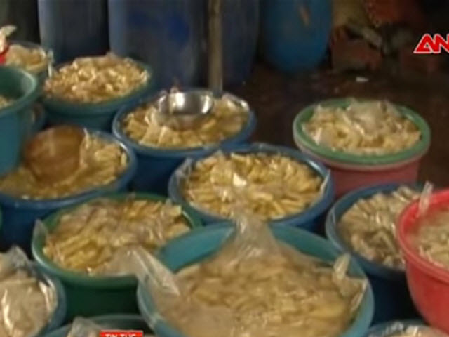 Video An ninh - 15 năm nhuộm măng tươi bằng vàng ô không ai biết!