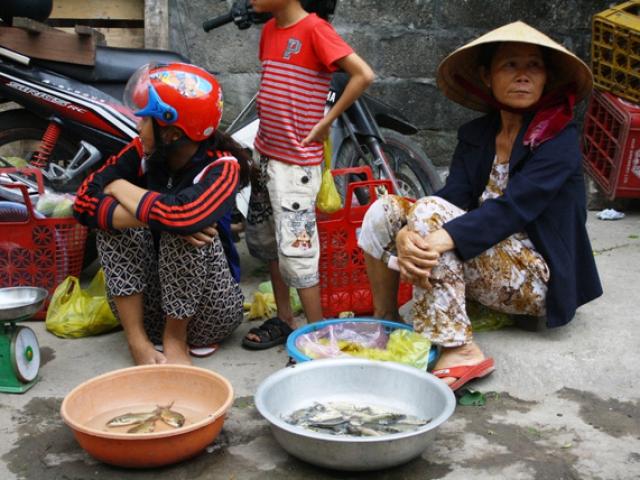 Tin tức trong ngày - Dân điêu đứng vì “biển chết” bất thường