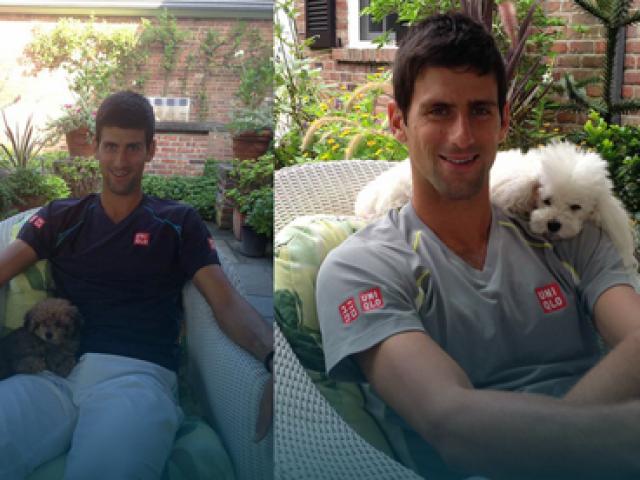 Thể thao - Thú cưng của Djokovic, Murray: Nói không với thú dữ