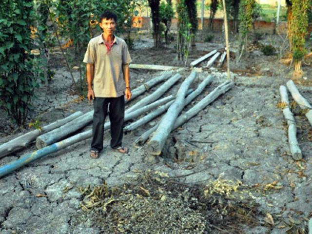 Tin tức trong ngày - Hàng xóm quán Xin Chào bị khởi tố: "Tôi chỉ dựng chòi nuôi ngỗng"