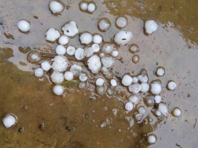 Tin tức trong ngày - Mưa đá liên tiếp xuất hiện ở Nghệ An