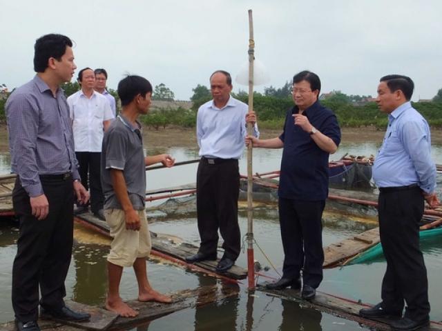 Tin tức trong ngày - Cá chết hàng loạt: Phải xử nghiêm!