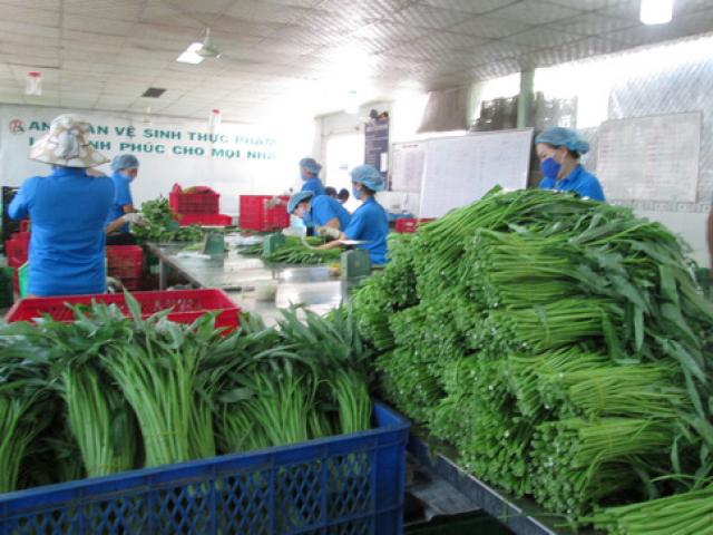 Thị trường - Tiêu dùng - TP HCM sẽ quản lý thực phẩm từ gốc đến ngọn