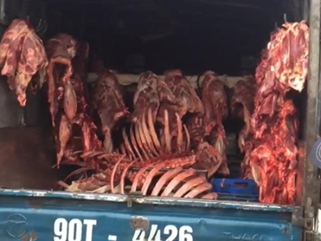 Thị trường - Tiêu dùng - HN: Bắt giữ nhiều xe ôtô chở thực phẩm bốc mùi hôi thối