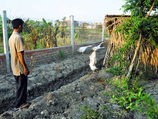 Tin tức trong ngày - Dựng chòi ngỗng bị khởi tố: Viện KSND TPHCM vào cuộc