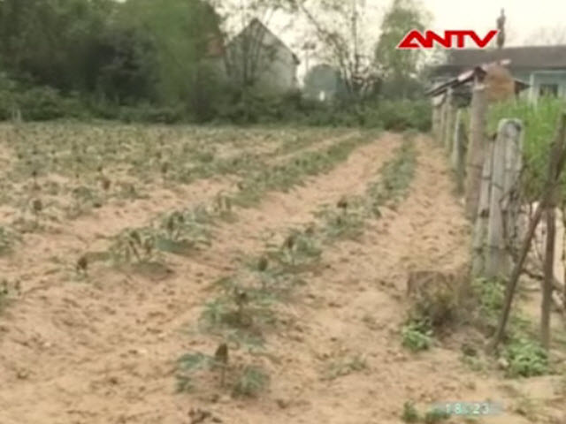 Video An ninh - Làm rõ vụ “phí bôi trơn” làm sổ đỏ trước ngày 16/5