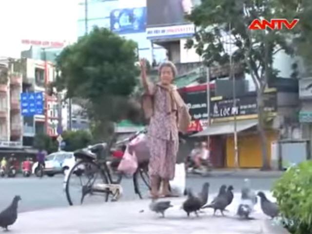 Tin tức trong ngày - Cụ bà nghèo hơn 30 năm mua thóc đãi chim trời