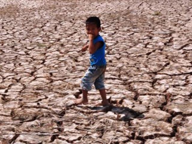 Tài chính - Bất động sản - Hạn, mặn gây thiệt hại 5.572 tỷ đồng