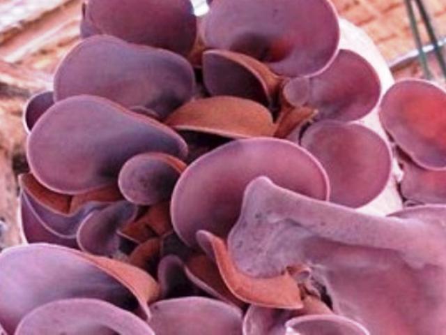 Ẩm thực - Ăn các món sau để đương đầu với hóa chất thực phẩm bẩn