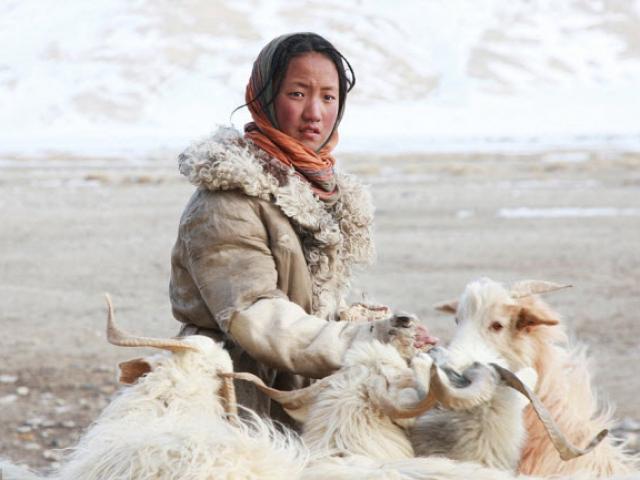 Cuộc sống nguyên thủy của bộ tộc trên đỉnh Himalayas