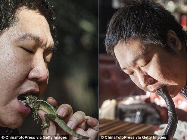 Phi thường - kỳ quặc - Những dị nhân ăn tươi nuốt sống động vật