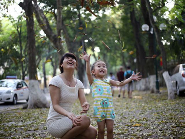 Tin tức trong ngày - Đường Hà Nội trải thảm vàng mùa lá bay