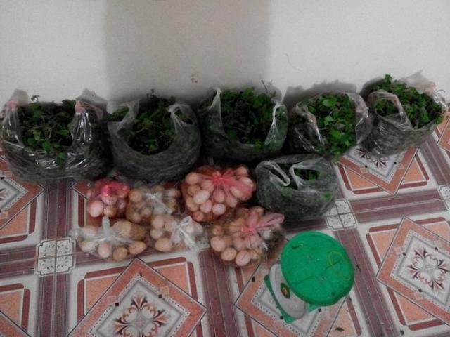 Thị trường - Tiêu dùng - Lo ngại thực phẩm bẩn, rau thịt quê "hút" khách thành phố