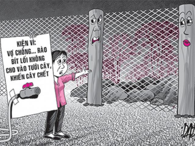 Pháp luật - Kiện hàng xóm vì… không cho tưới cây
