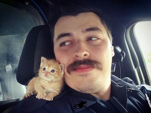 Thế giới - Mỹ: Cảnh sát nổi tiếng vì mang mèo con đi tuần tra