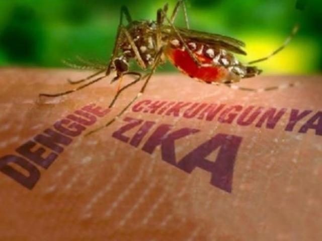 Một phụ nữ Hàn Quốc nhiễm virus Zika sau khi trở về từ TP.HCM