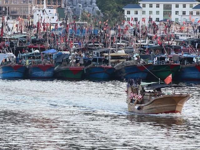 Thế giới - Ngư dân - lực lượng "hải quân bí mật" của Trung Quốc