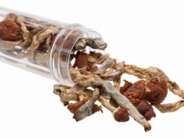 Sức khỏe đời sống - Nấm thức thần: Ảo giác đi bộ đến thiên đường hay…địa ngục?