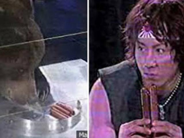 Thể thao - Siêu VĐV đấu quái thú: "Dũng sĩ diệt mồi" (P1)