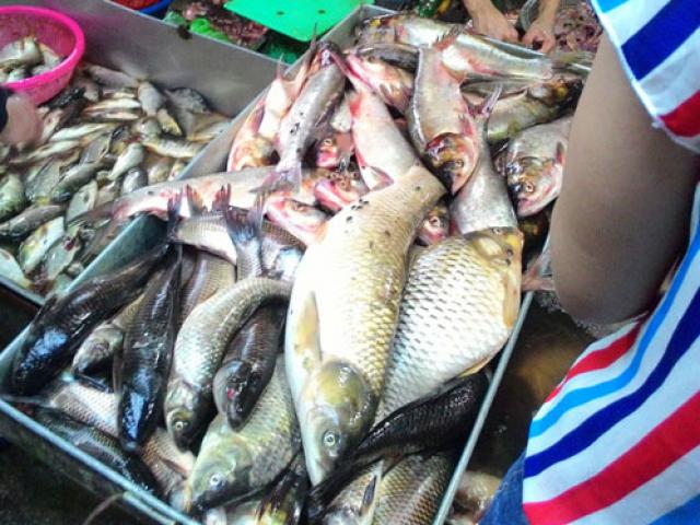 Tấp nập khách “săn” cá ươn giá rẻ tại chợ thực phẩm HN