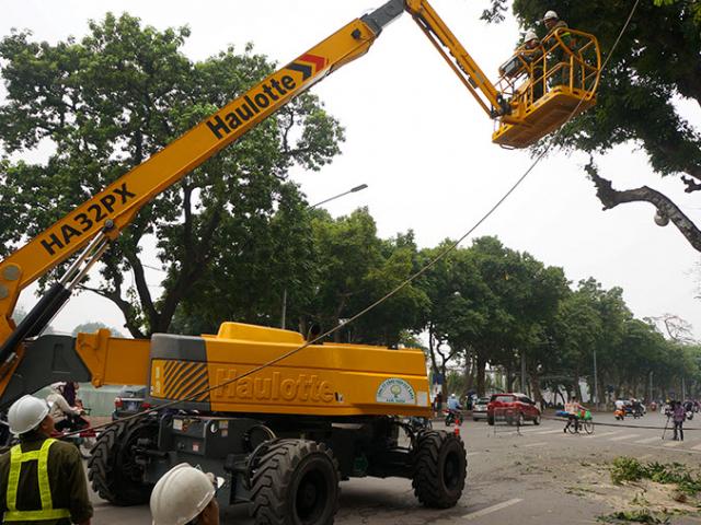 Tin tức trong ngày - Hà Nội sắp cử người sang Trung Quốc học trồng cây xanh