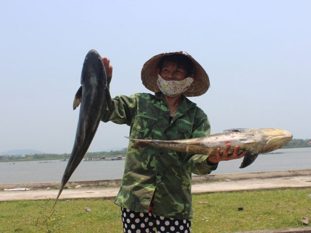 Tin tức trong ngày - Phạt 480 triệu đồng, đóng cửa nhà máy xả thải ra sông Bưởi