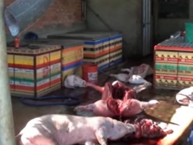 Thị trường - Tiêu dùng - Công khai tên cơ sở sản xuất thực phẩm bẩn lên website