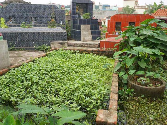 Tin tức trong ngày - Chống thực phẩm bẩn khó vì tâm lý “làng xóm”