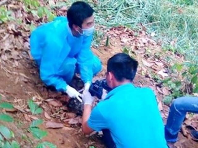 Tin tức trong ngày - Phát hiện xác người trơ xương trên đèo Chuối