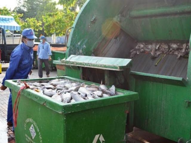 70 tấn cá chết trắng trên kênh Nhiêu Lộc – Thị Nghè