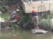 Video An ninh - TP.HCM: Dân đổ xô đi vớt cá trên kênh Nhiêu Lộc sau mưa