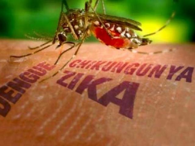 Virus Zika vẫn tiếp tục lan rộng
