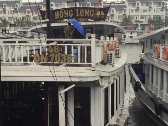 Đình chỉ đội tàu du lịch “chặt chém“ trên vịnh Hạ Long