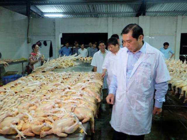 Tin tức trong ngày - Chủ tịch Đà Nẵng kiểm tra an toàn thực phẩm lúc 1h sáng